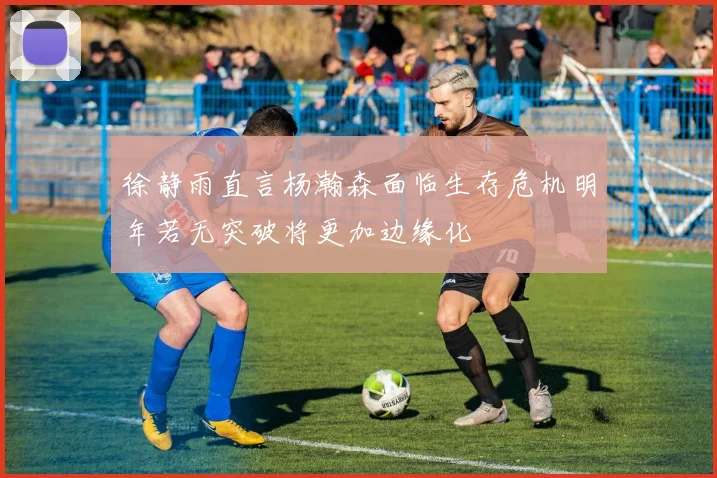 徐静雨直言杨瀚森面临生存危机明年若无突破将更加边缘化