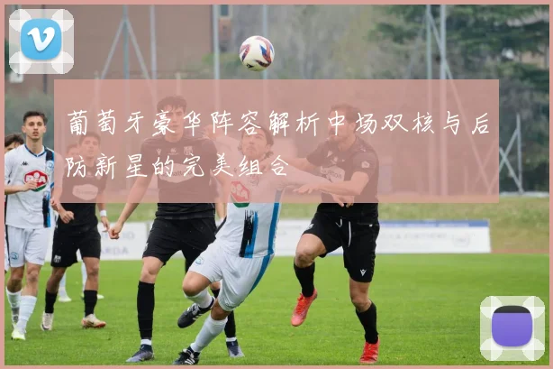 葡萄牙豪华阵容解析中场双核与后防新星的完美组合